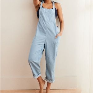 Aerie Blue Overalls Pinstripe